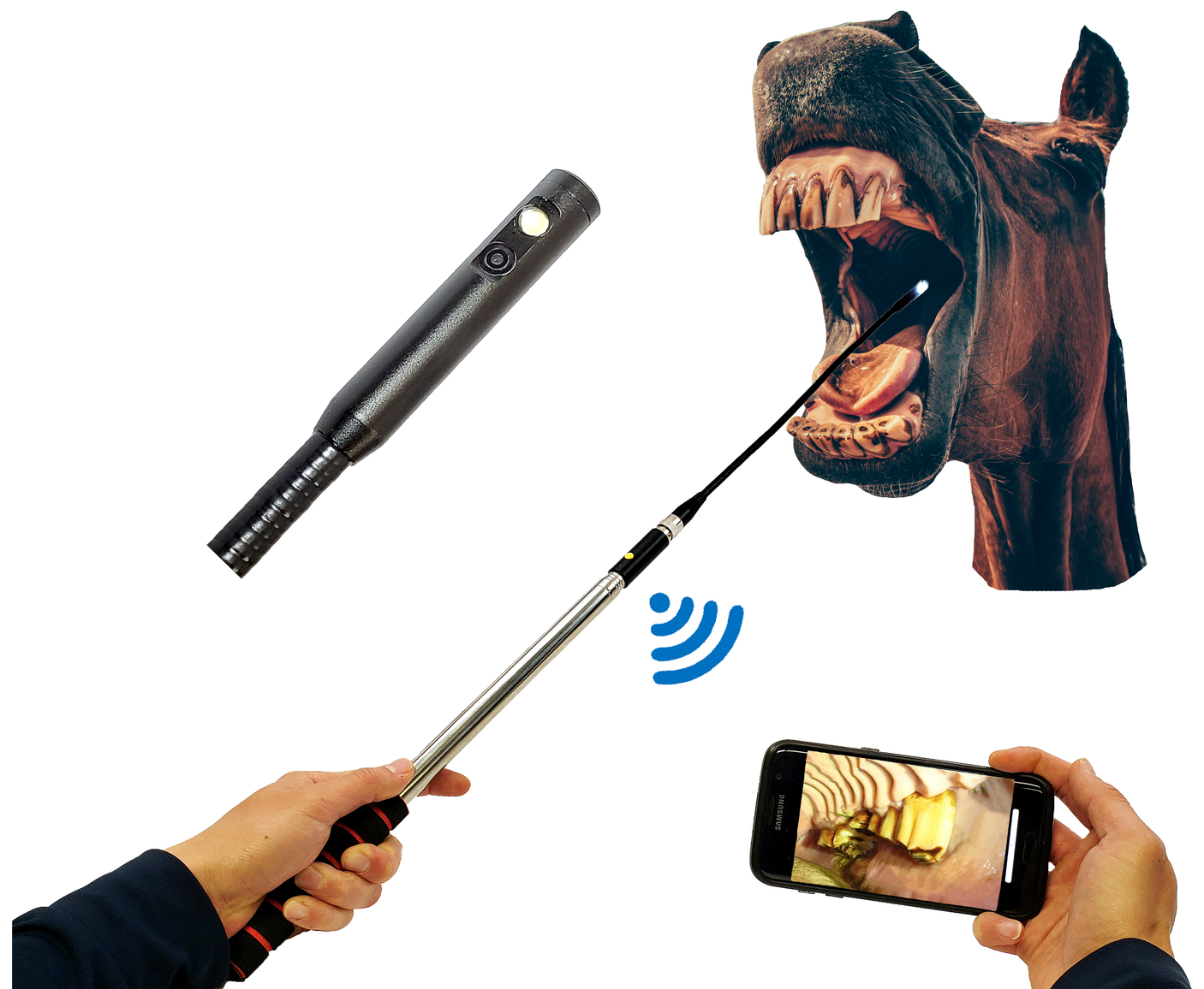 Vividia D0165W Side View Rigid Extendable WiFi Inspection Borescope Camera and Equine Dental Endoscope Camera for Horse