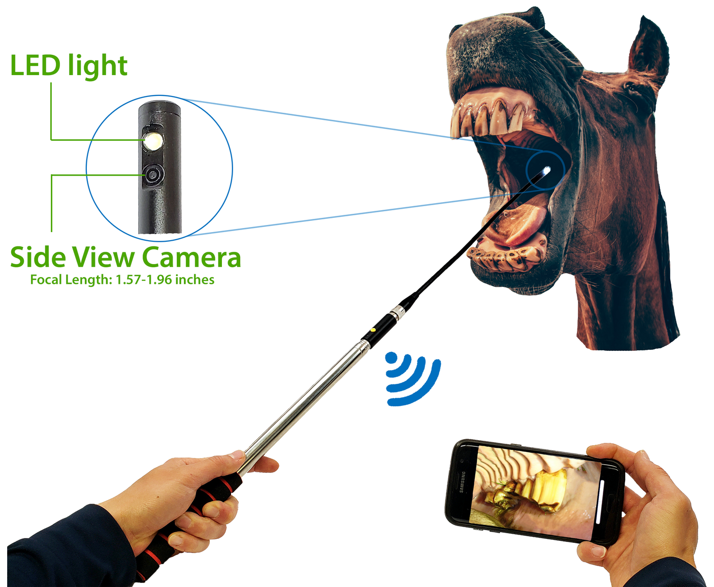 Vividia D0165W Side View Rigid Extendable WiFi Inspection Borescope Camera and Equine Dental Endoscope Camera for Horse