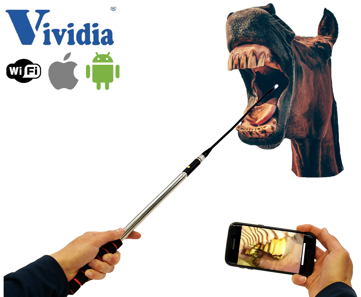 Vividia D0165W Side View Rigid Extendable WiFi Inspection Borescope Camera and Equine Dental Endoscope Camera for Horse